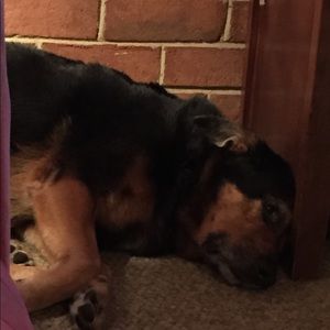 Meet your Posher, Kelley